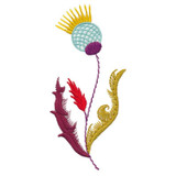 Thistle