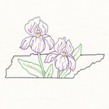 Tennessee Iris