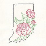 Indiana Peony