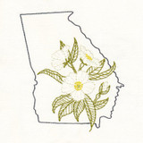 Georgia Cherokee Rose