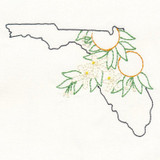 Florida Orange Blossom