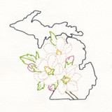 Michigan Apple Blossom