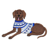 Blue Sweater Dog