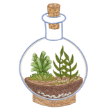 Terrarium