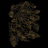 Magnificent Gold Peacock Tail