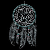 Dream Big
