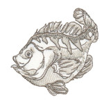 Blue Gill 2