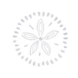 Bohemian Sand Dollar 3