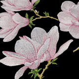 Magnolias by Jackie Robinson