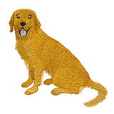 Golden Retriever | 12826-02
