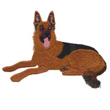 German Shepherd | 12826-10