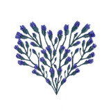 Bluebell Heart