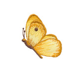 Spring Wishes Butterfly 3