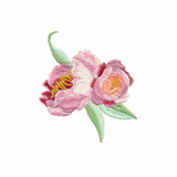Two Flowers | 51202-11