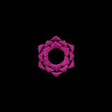 Sahasrara Mini