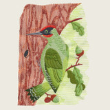 Woodpecker Scene