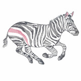 Zebra Run 1