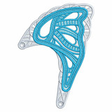 Top Right Butterfly Wing FSL