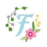 Mini Monogram F