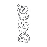 Ginko Placket Accent 3