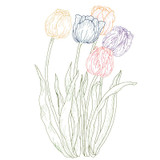 Tulips Large | 82029-06