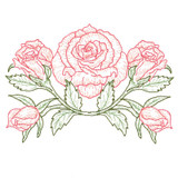 Roses | 82029-21