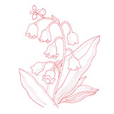 Lily of the Valley | 12904-05