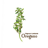 Oregano | 12914-03