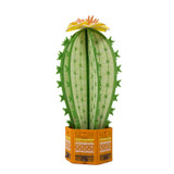 Freestanding Cactus 2