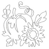 Pumpkin Motif Single Run