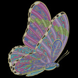 Alluring Butterfly 3