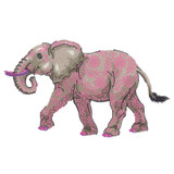 Everglow Elephant Alternate