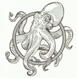 Rope Frame Octopus