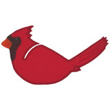 Cardinal Body FSA