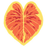 Caladium New Wave Large Leaf FSA