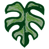 Rhaphidophora Tetrasperma Medium Leaf FSA