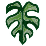 Rhaphidophora Tetrasperma Small Leaf FSA