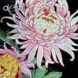 Flowers of the Continents