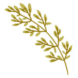 Spring Garden Stem 1