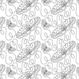 Flutterbyes 1 DIGITAL