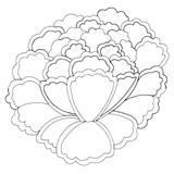 Corsage Motif 2