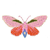 Kiss Flutter Butterfly