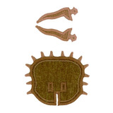 Triceratops Head and Horns FSA