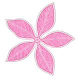 Poinsettia Bracts 1 FSA