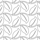 Leaf Trail DIGITAL