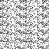 Acorn Border DIGITAL