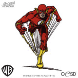 The Flash 7