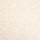 Oak and Acorn DIGITAL