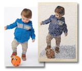 Stitched Snapshots Plus Software