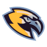 Eagle Mascot Applique 1